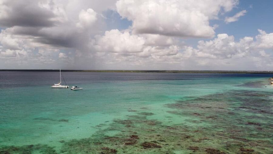 Punta Cana: All Inclusive Saona Island Experience - Lunch on Saona: Dominican buffet, no decision fatigue