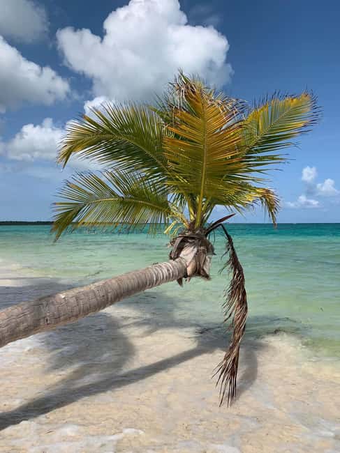 Punta Cana: All Inclusive Saona Island Experience - Price and value at $79: worth it if you want the highlights in one day