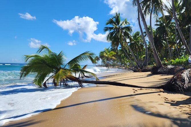 Punta Cana: Amazing ATV Adventure Private Road & Beach W/ PickUp - The “where am I?” part: Macao ranch meets real village driving