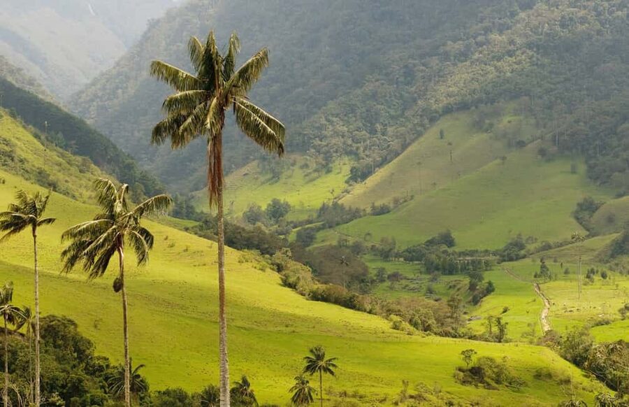 Punta Cana: Anamaya Mountains Walking Tour with Tasting - Key things to know before you go