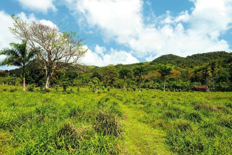 Punta Cana: Anamaya Mountains Walking Tour with Tasting - Price and value: is $49 a fair deal?