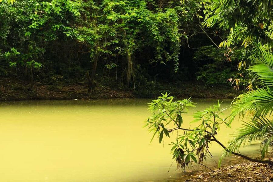 Punta Cana: Anamaya Mountains Walking Tour with Tasting - Safety and comfort notes you should not ignore