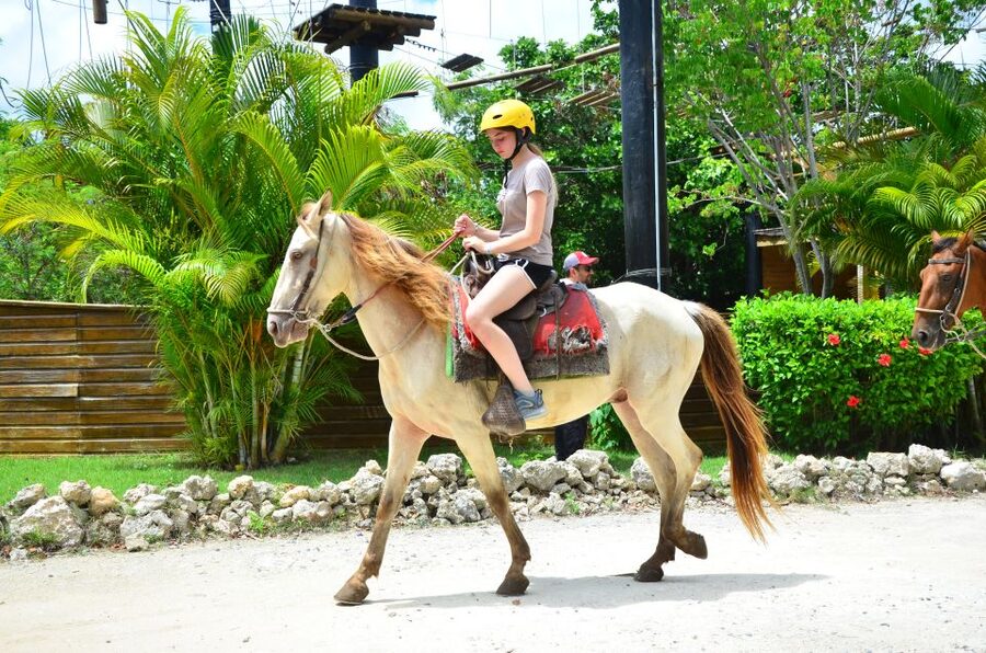 Punta Cana: Bávaro Adventure Park Horse Riding & Waterfalls - Who should book this tour (and who should skip it)