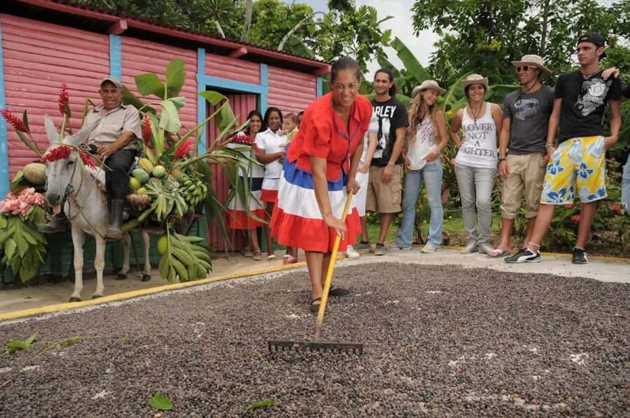 Punta Cana: Bavaro Runners Safari Tour - Cigar Rollers Workshop: Craftsmanship You Can Actually Watch