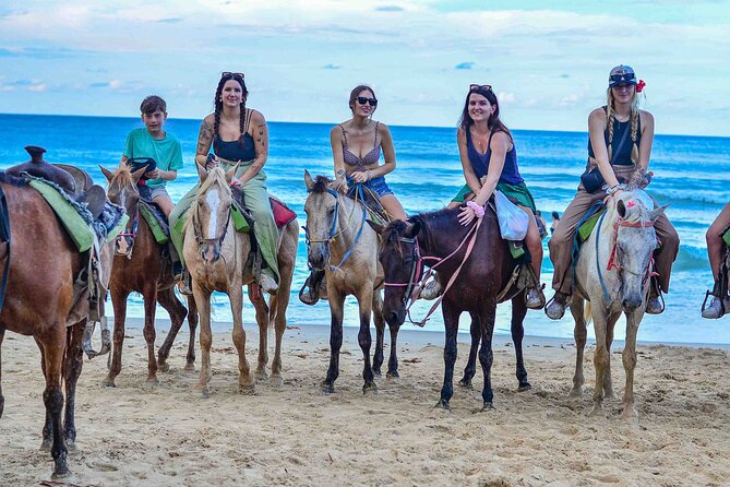 Punta Cana Beach Horseback Ride Paradise Coast Experience - Key highlights to know before you go