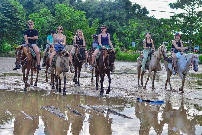 Punta Cana Beach Horseback Ride Paradise Coast Experience - Why this Punta Cana horseback ride feels different