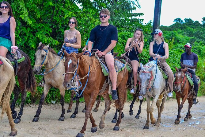 Punta Cana Beach Horseback Ride Paradise Coast Experience - The beach moment: quiet shoreline time that’s built for photos