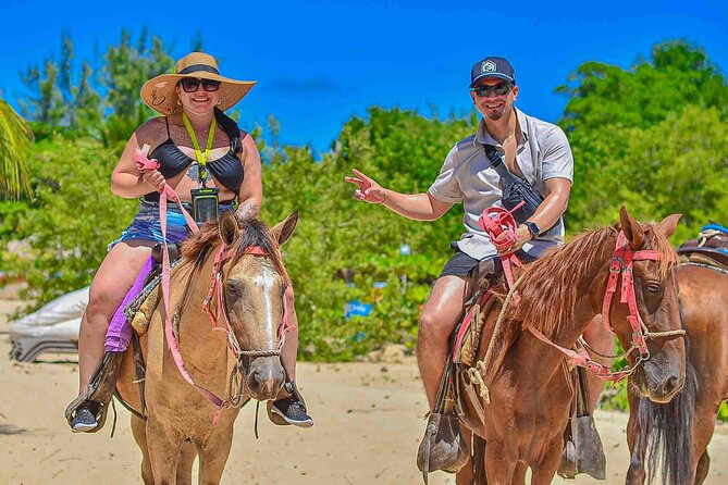 Punta Cana Beach Horseback Ride Paradise Coast Experience - The organic tastings: coffee, chocolate, and simple local flavors