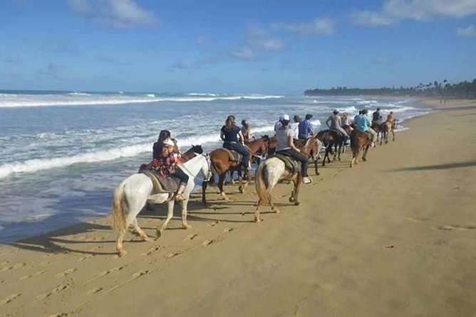 Punta Cana Beach Horseback Riding - Key things to know before you go
