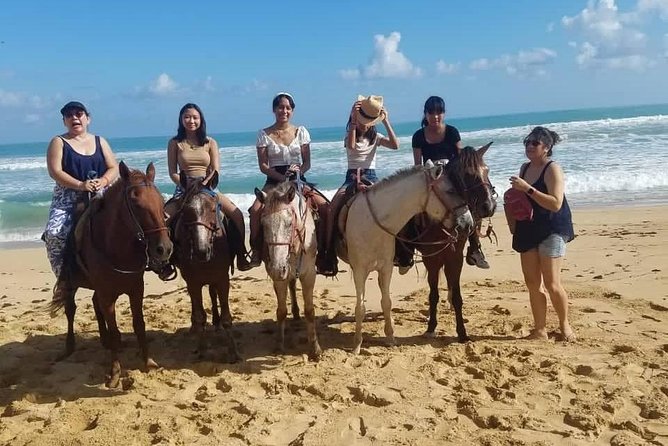 Punta Cana Beach Horseback Riding - How the Guides Keep the Ride Smooth (and Safer)