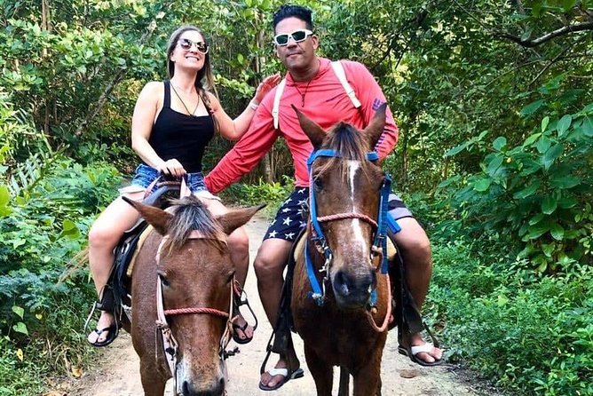 Punta Cana Beach Horseback Riding - Pickup, Transport, and How to Avoid the Common Friction Points