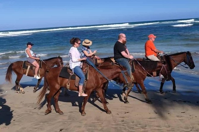 Punta Cana Beach Horseback Riding - Horses, Cleanliness, and Other Small Reality Checks