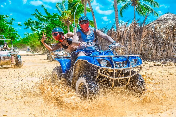 Punta cana Boogie into the Jungle with Coffee and Chocolate Taste - Price and Value: Is $44 a Good Deal?