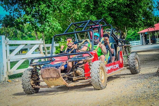 Punta cana Boogie into the Jungle with Coffee and Chocolate Taste - Pickup Timing That Can Catch You Off Guard