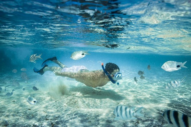 Punta Cana Booze Cruise with Snorkeling, Natural Pool & Open Bar - Key Highlights You’ll Care About