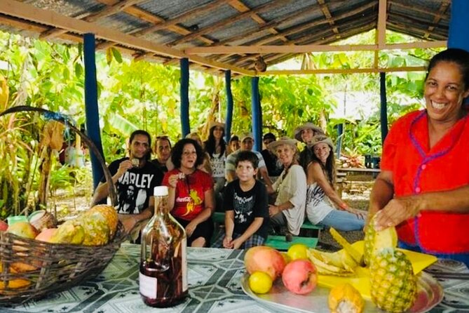 Punta Cana Buggy Adventure - Who This Tour Fits Best in Punta Cana