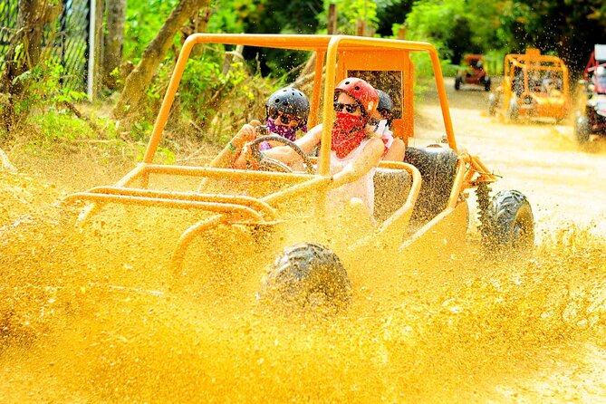 Punta Cana Buggy Adventure Playa Macao and Dune with Safari. - Traditional house visit + natural coffee: the calm pause in an action day