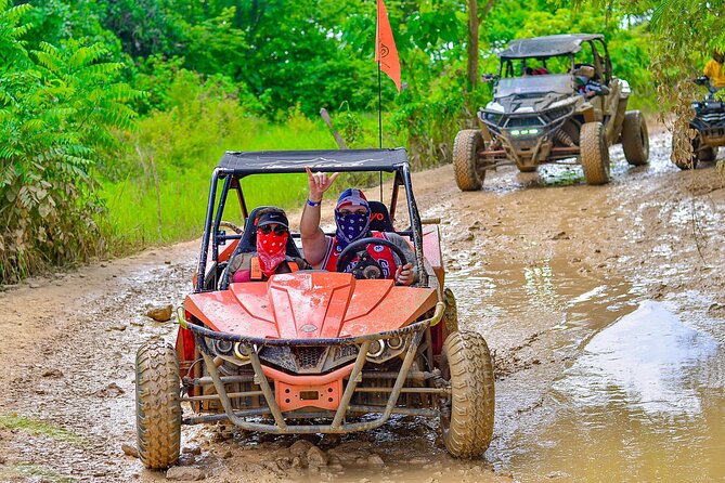 Punta Cana Buggy Adventure to Macao Beach with Taino Cave Swim - Key highlights at a glance