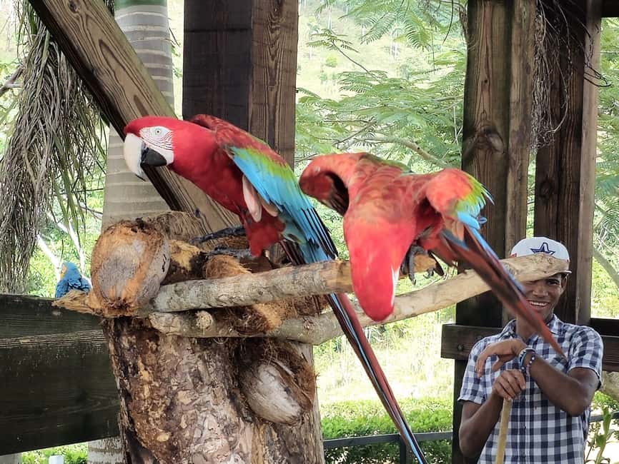 Punta Cana: Buggy and Zipline Adventure at La Hacienda - Key Highlights That Matter (Not Just Nice Marketing)