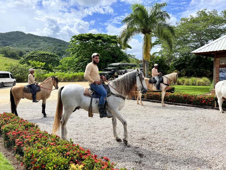Punta Cana: Buggy and Zipline Adventure at La Hacienda - Zip Lines Over the Jungle: Speed, Height, and That First Big Moment