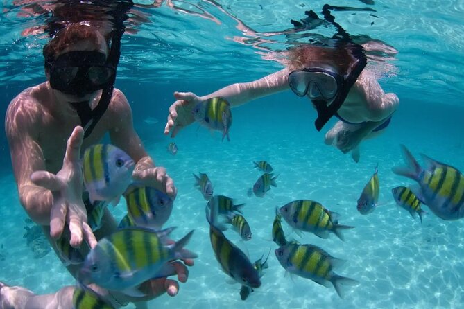 Punta Cana Catalina Island Catamaran Tour Package Deal - Crew and Guide: Captain Francisco’s Team Vibe