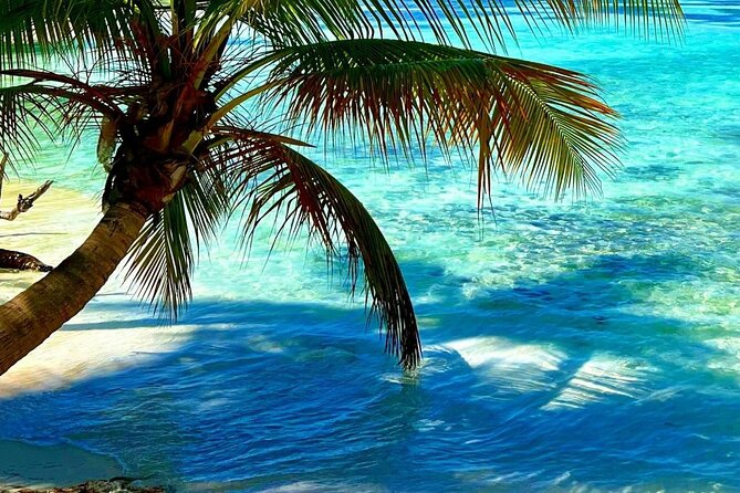 Punta Cana Catalina Island Catamaran Tour Package Deal - Timing Tips: How to Protect Your Best Hours
