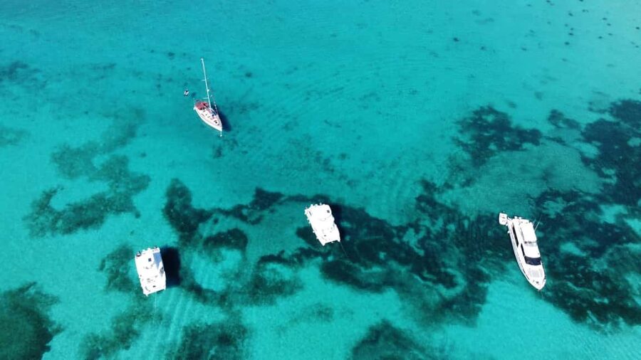 Punta Cana: Catalina Island Snorkeling and lunch Day Trip - Key Things to Know Before You Go