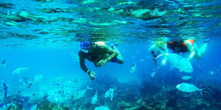 Punta Cana: Catalina Island Snorkeling Trip with Lunch - Should you book this Punta Cana-area Catalina snorkeling trip?