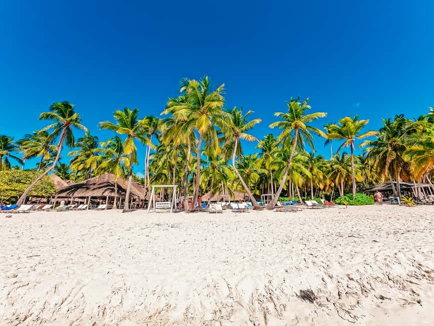Punta Cana: Catamaran Boat to Saona Island with Buffet Lunch - Who This Tour Fits Best (and Who Should Rethink It)