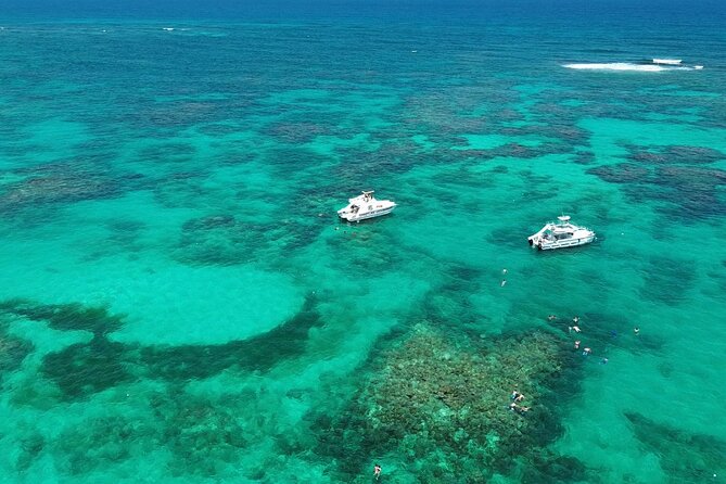 Punta Cana: Catamaran Tour, Reef Snorkeling and Unlimited Drinks! - Key highlights I’d plan around