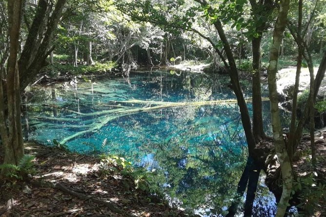 Punta Cana Cenote Hoyo Claro Hiking Tour + Juanillo Beach - BlueMall Punta Cana: Your Shopping Plan If You Skip the Beach