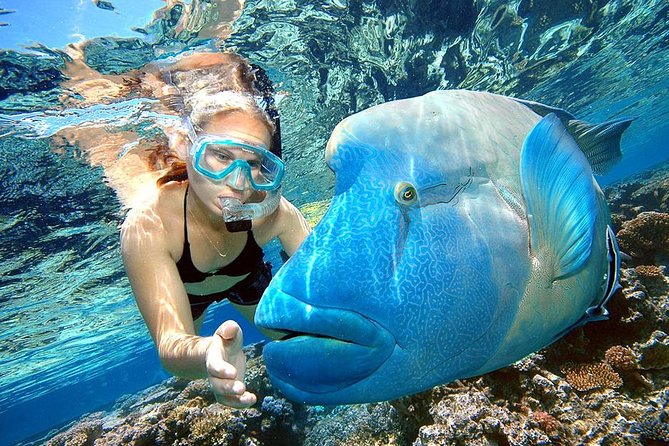 Punta Cana Combo Tour: Snorkeling, Catamaran Cruise & Parasailing - Key points to know before you go