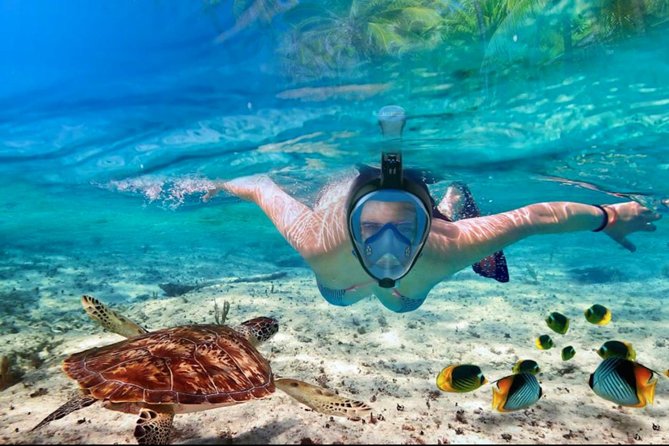 Punta Cana Combo Tour: Snorkeling, Catamaran Cruise & Parasailing - Natural Pool Swim and Floating Bar: The Break Between Thrills