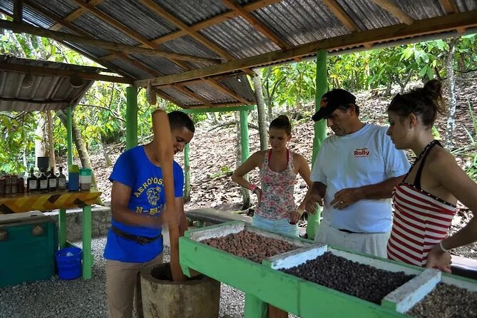 Punta Cana: Cultural half-day tours in the Dominican Republic - Leaving Punta Cana at 7:00 am: what the ride day feels like