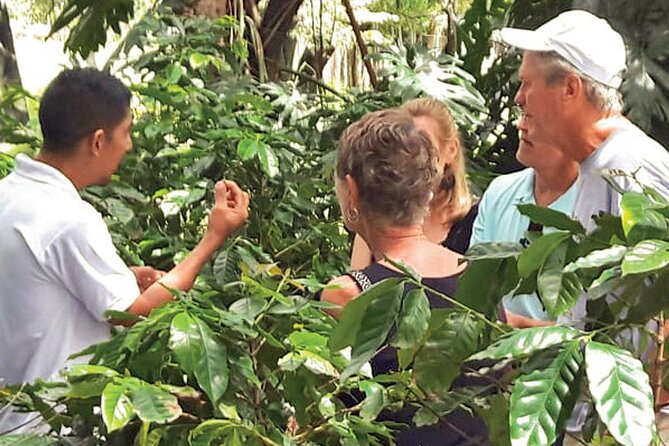 Punta Cana: Cultural half-day tours in the Dominican Republic - Anamuya River swim and natural slide: the perfect reset