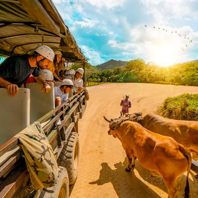 Punta Cana Cultural Tour History and Traditions Small Group - Key things to know before you go