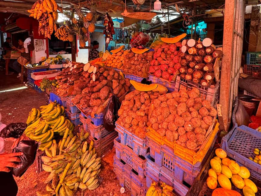 Punta Cana Cultural Tour History and Traditions Small Group - Crafts workshop and the national market: see daily life, not just souvenirs
