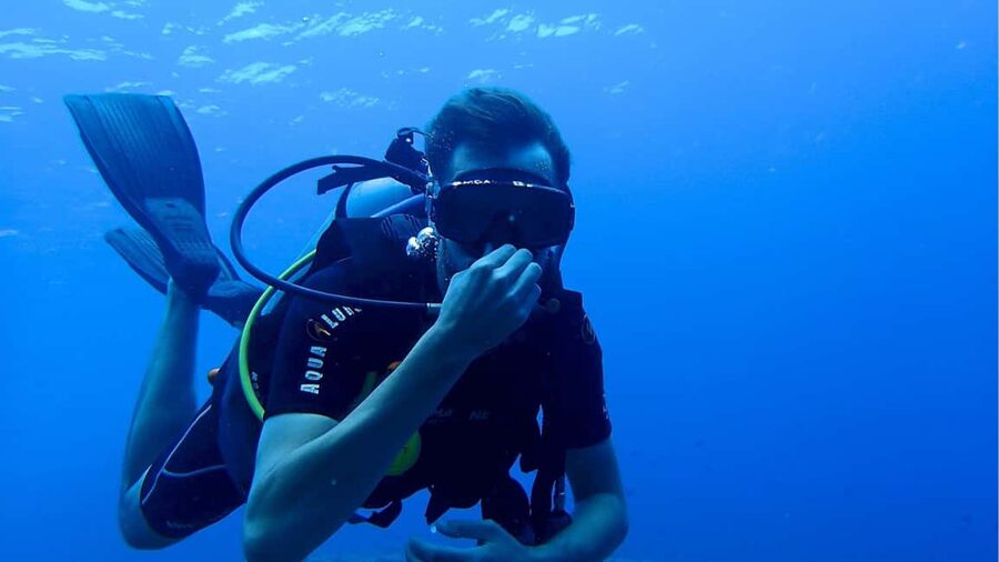 Punta Cana: Dive the Coral Paradise of Catalina Island - Key things to know before you go