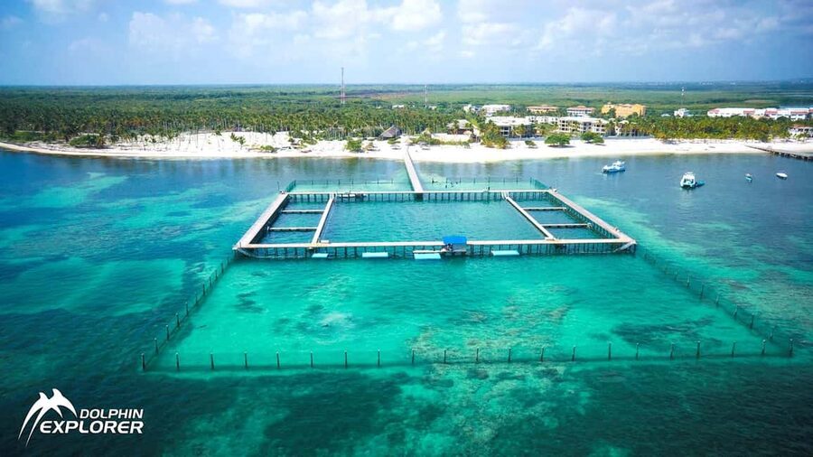 Punta Cana Dolphin Adventure: 40-Minute Interaction - What You’re Actually Buying at Dolphin Explorer