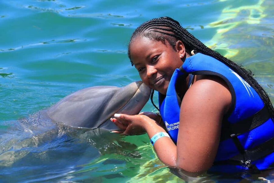 Punta Cana Dolphin Adventure: 40-Minute Interaction - The Briefing: Dolphin Behavior and Communication First