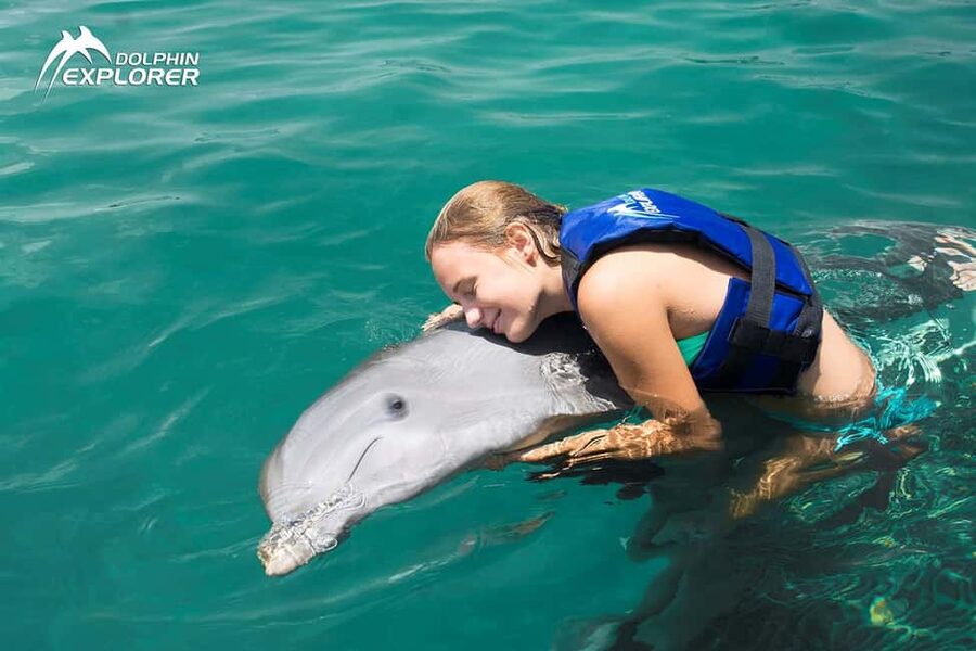 Punta Cana Dolphin Adventure: 40-Minute Interaction - The 40-Minute Water Interaction: Hugs, Dolphin Kisses, and Group Format