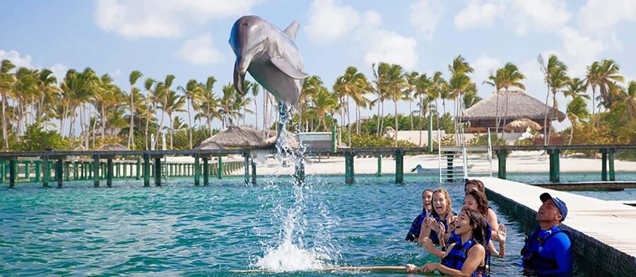 Punta Cana Dolphin Adventure: 40-Minute Interaction - Rules and Restrictions: Height, Age, and Pregnancy