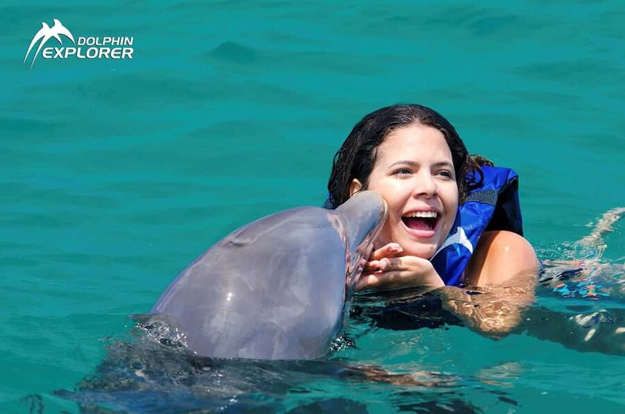 Punta Cana Dolphin Adventure: 40-Minute Interaction - Price and Value: Is $167 Worth It?