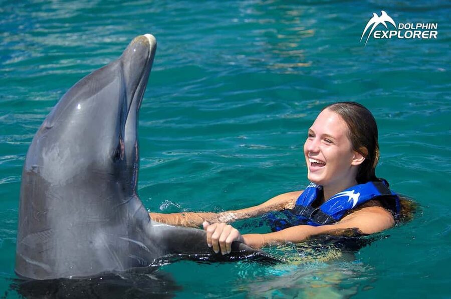 Punta Cana Dolphin Adventure: 40-Minute Interaction - What the 4-Hour Schedule Feels Like in Real Life