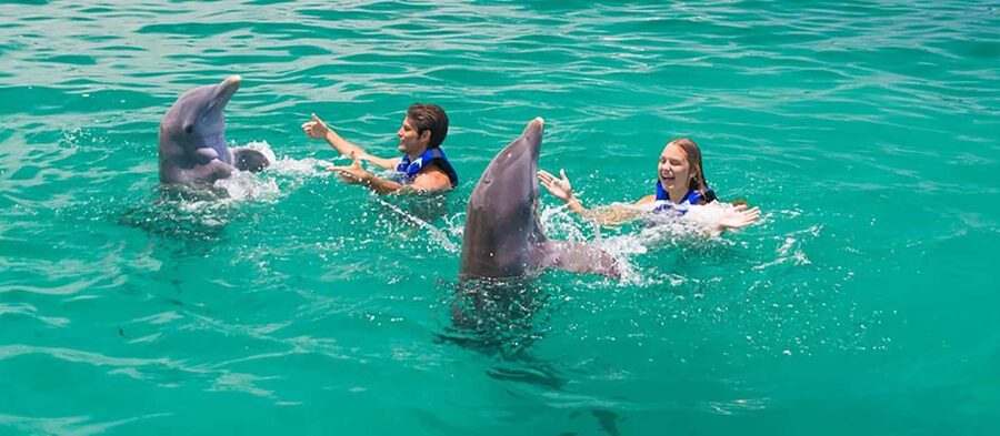 Punta Cana Dolphin Adventure: 40-Minute Interaction - Small Details That Make a Big Difference