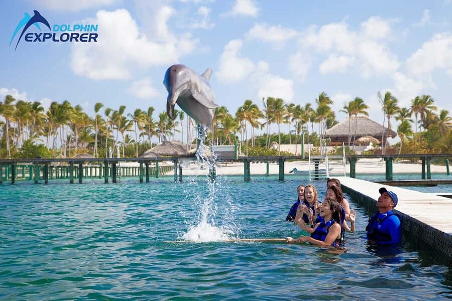 Punta Cana Dolphin Adventure: 40-Minute Interaction - Hotel Pickup and Getting There Without Losing Time
