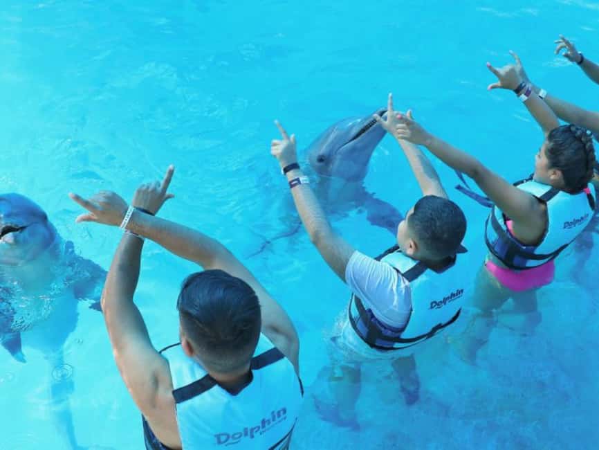 Punta Cana: Dolphin Explorer Park Entry, Swim, or Encounter - Key Highlights You’ll Care About