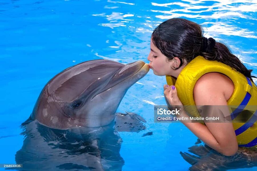 Punta Cana: Dolphin Explorer Park Entry, Swim, or Encounter - FAQ