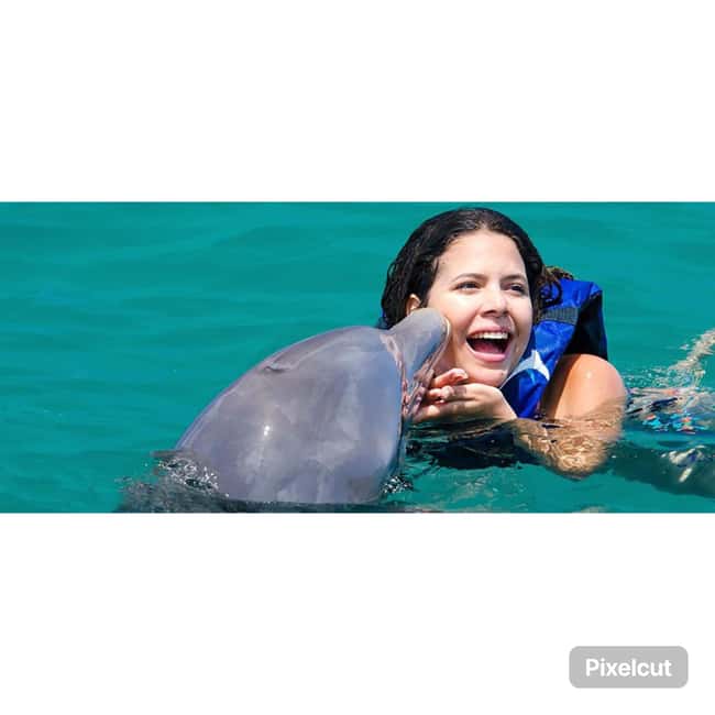 Punta Cana: Dolphin Explorer Park Entry, Swim, or Encounter - Dolphin Explorer in Punta Cana: What You Really Get for $140