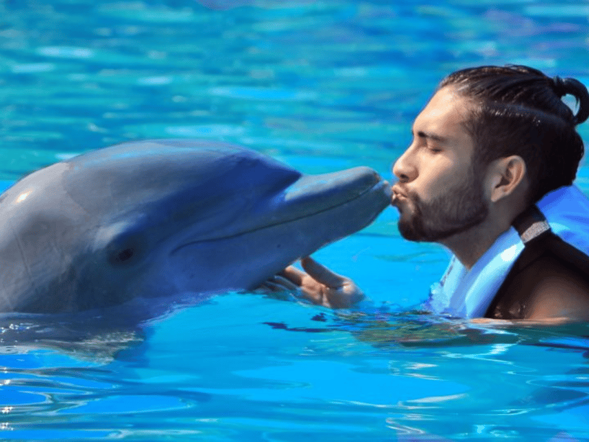 Punta Cana: Dolphin Explorer Park Entry, Swim, or Encounter - Sea Lion Show, Bird Show, and Pirate Island: The Park Extras